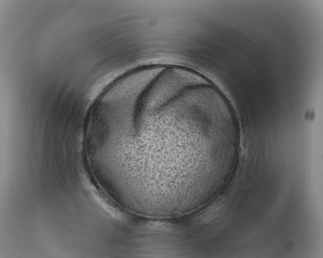 X0000112420437200908281842