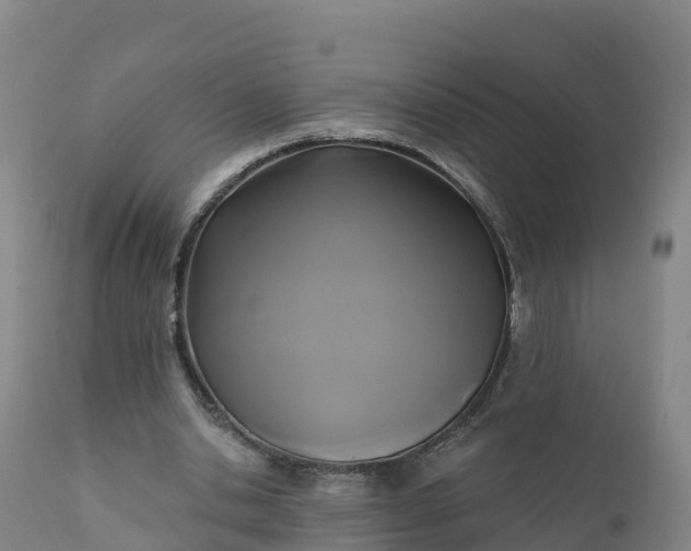 X0000112420438200908281842