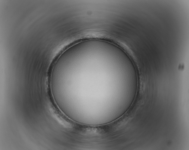 X0000112420439200908281842