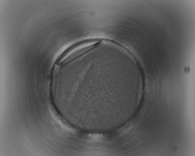 X0000112420440200908281842