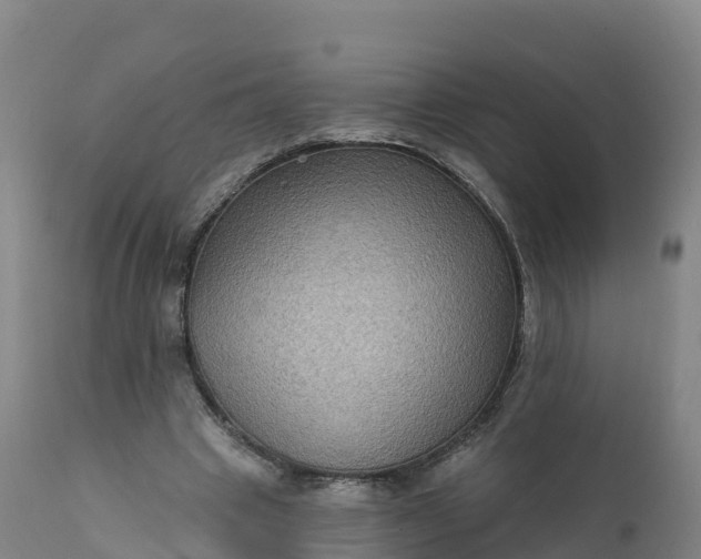 X0000112420441200908281842