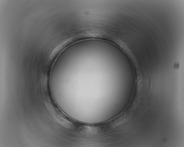 X0000112420442200908281842