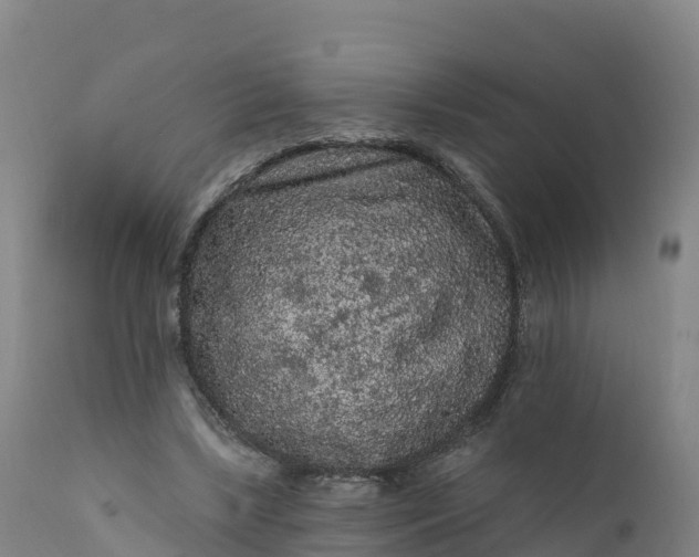 X0000112420443200908281842