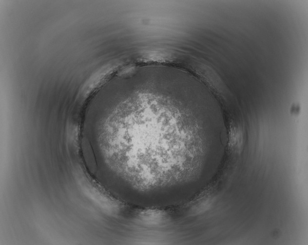 X0000112420444200908281842