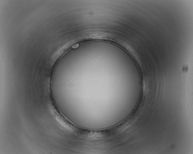 X0000112420445200908281842