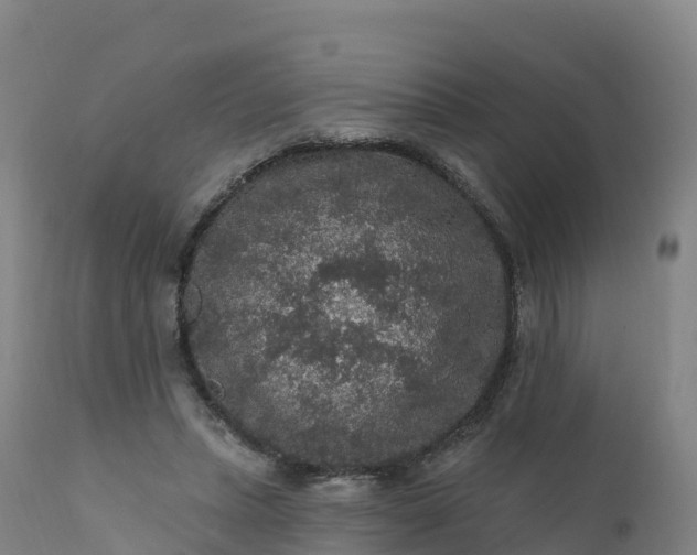 X0000112420447200908281842