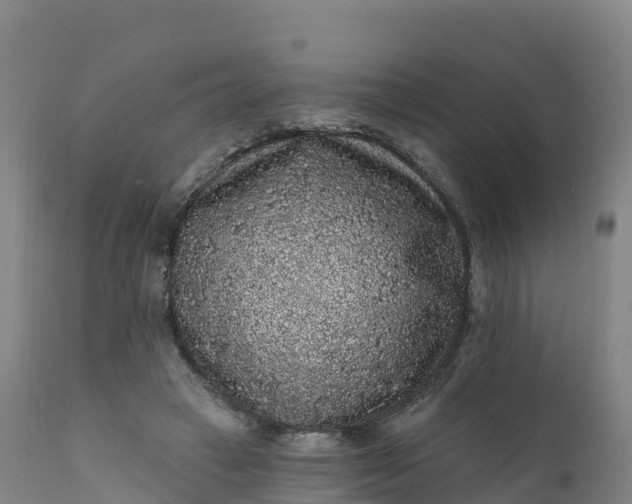 X0000112420449200908281842