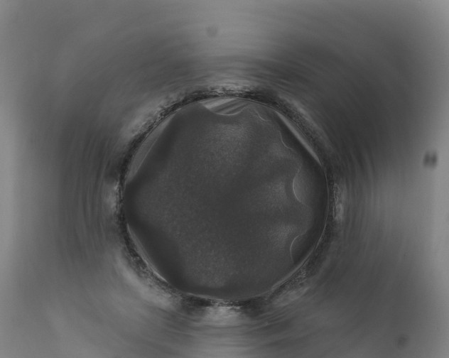 X0000112420451200908281842