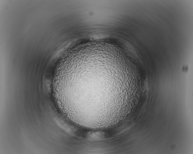 X0000112420452200908281842