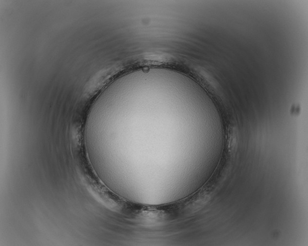 X0000112420455200908281842