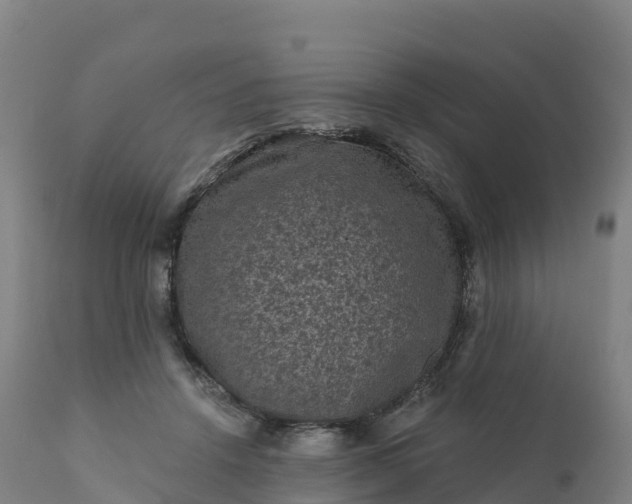 X0000112420456200908281842