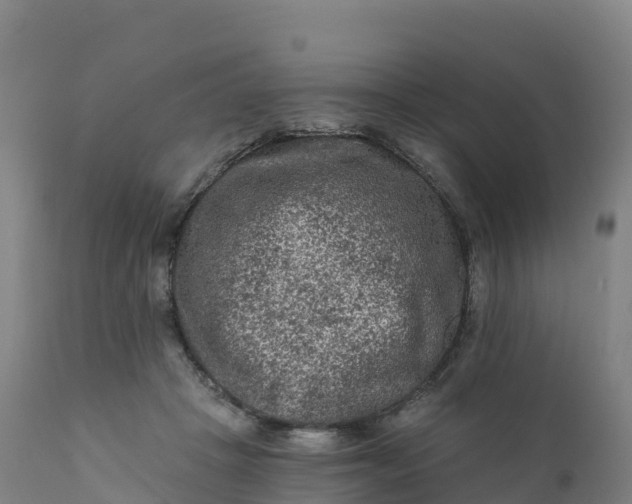 X0000112420457200908281843