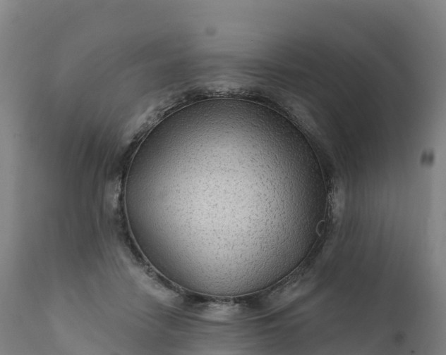 X0000112420458200908281843