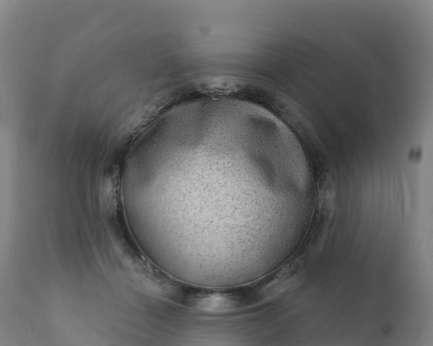 X0000112420460200908281843