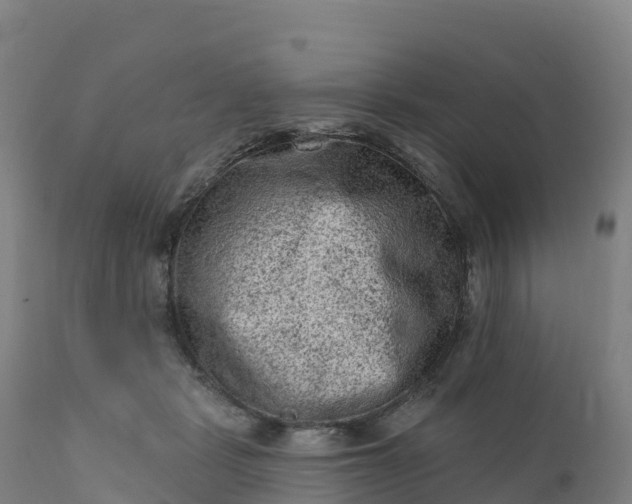 X0000112420461200908281843