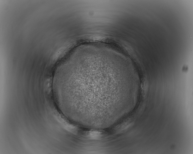 X0000112420462200908281843