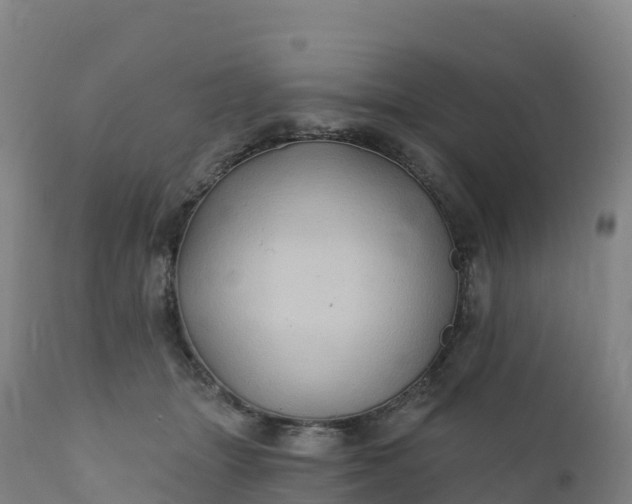 X0000112420463200908281843