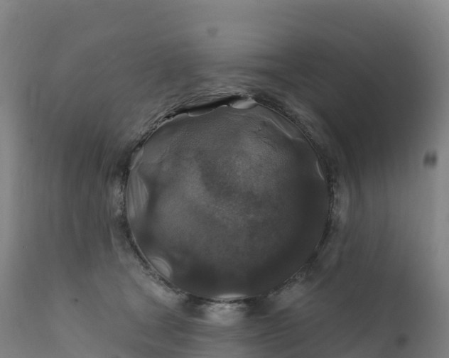 X0000112420465200908281843