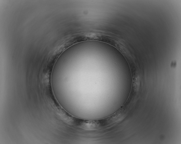 X0000112420466200908281843