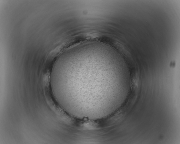 X0000112420468200908281843