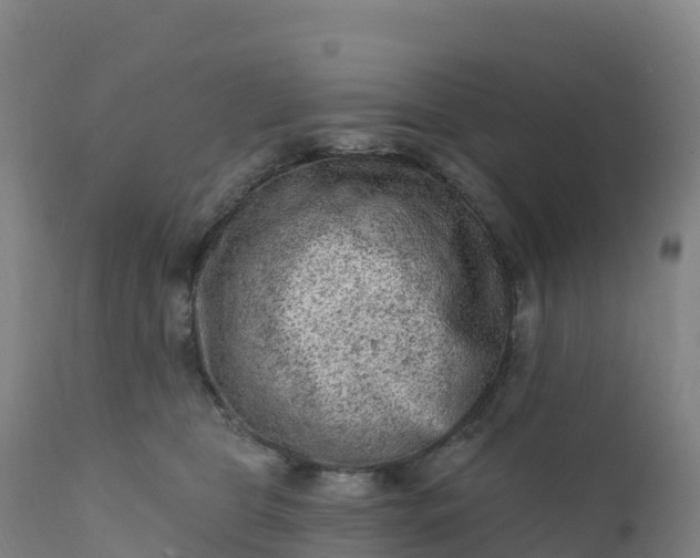 X0000112420469200908281843