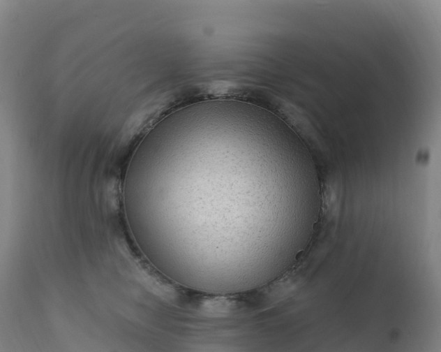 X0000112420470200908281843