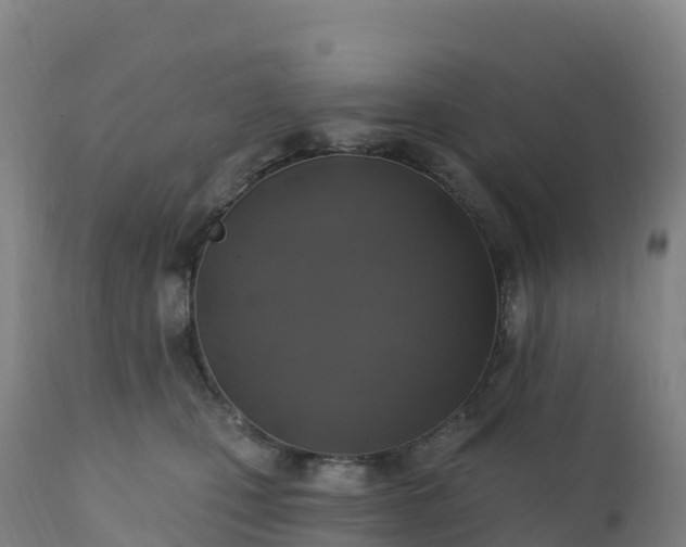 X0000112420471200908281843