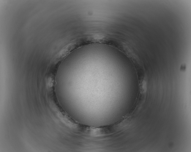 X0000112420472200908281843