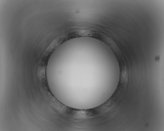 X0000112420473200908281843