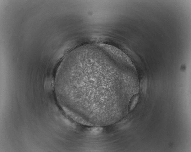 X0000112420474200908281843