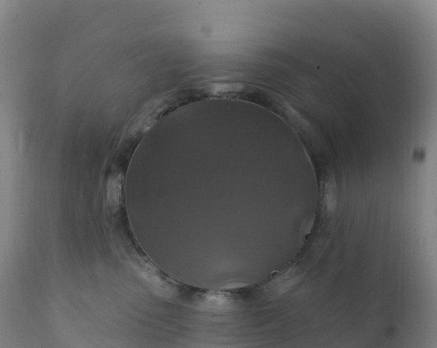 X0000112420475200908281843