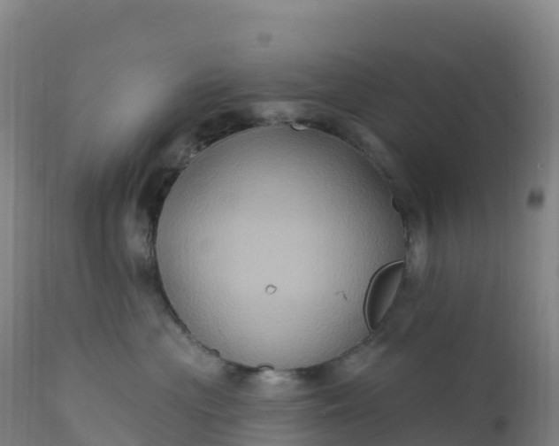 X0000112420477200908281843