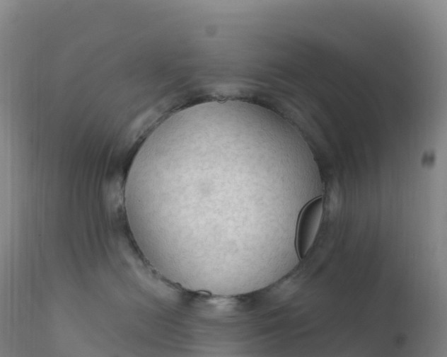 X0000112420478200908281843