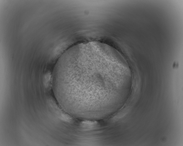 X0000112420480200908281843