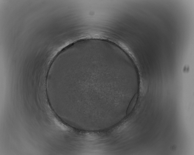 X0000112420481200908281842