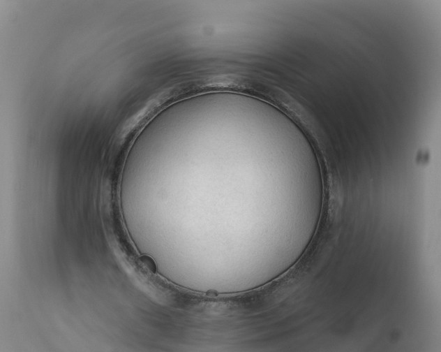 X0000112420482200908281842