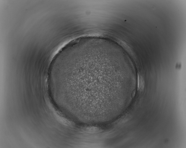 X0000112420483200908281842