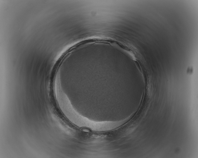 X0000112420484200908281842