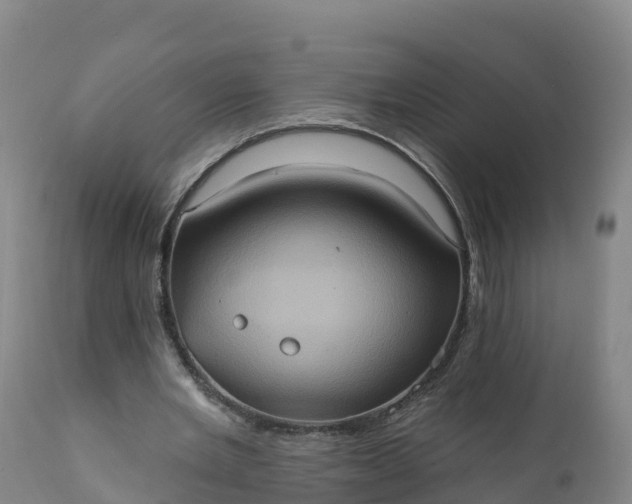 X0000112420485200908281842