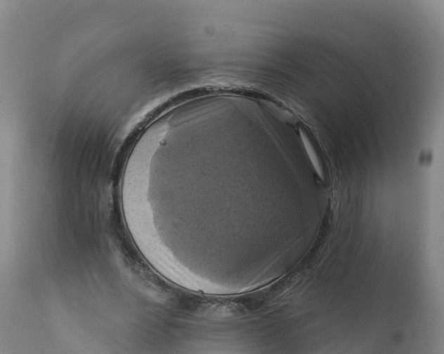 X0000112420488200908281842