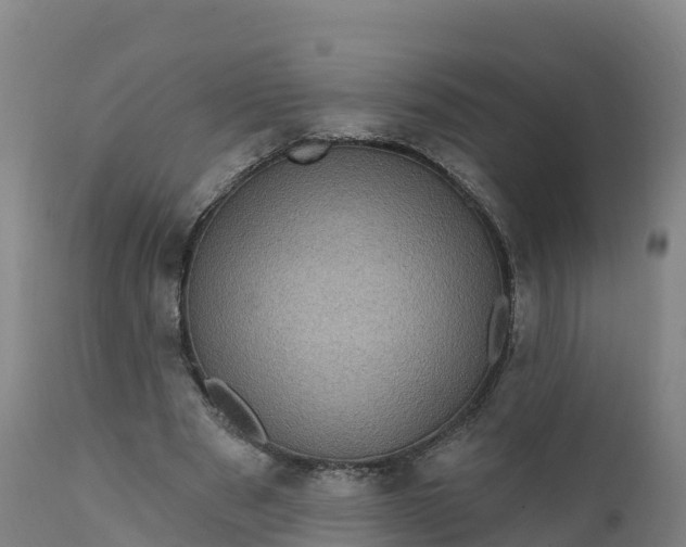 X0000112420489200908281842