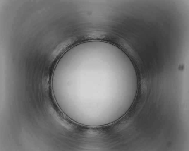 X0000112420490200908281842