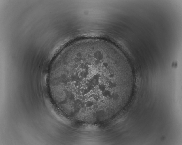 X0000112420491200908281842