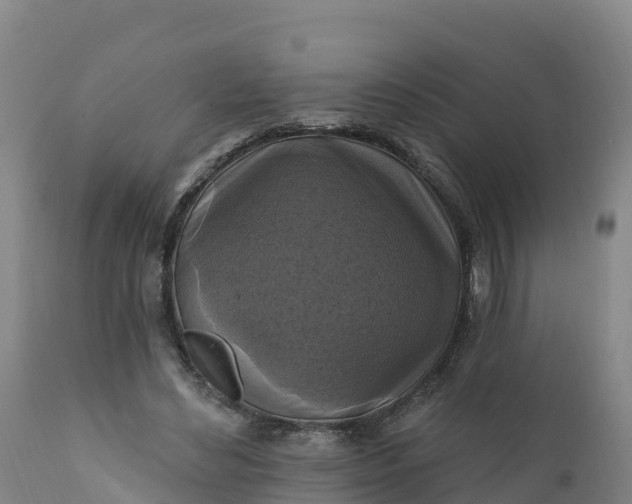 X0000112420492200908281842