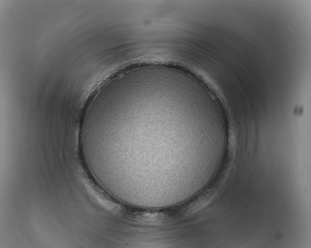 X0000112420493200908281842