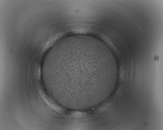 X0000112420494200908281842