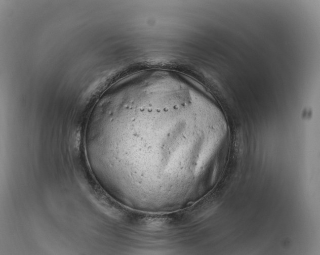 X0000112420495200908281842