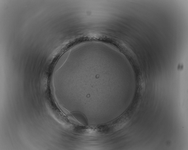 X0000112420496200908281842