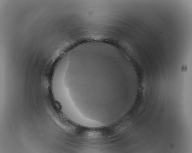 X0000112420500200908281842