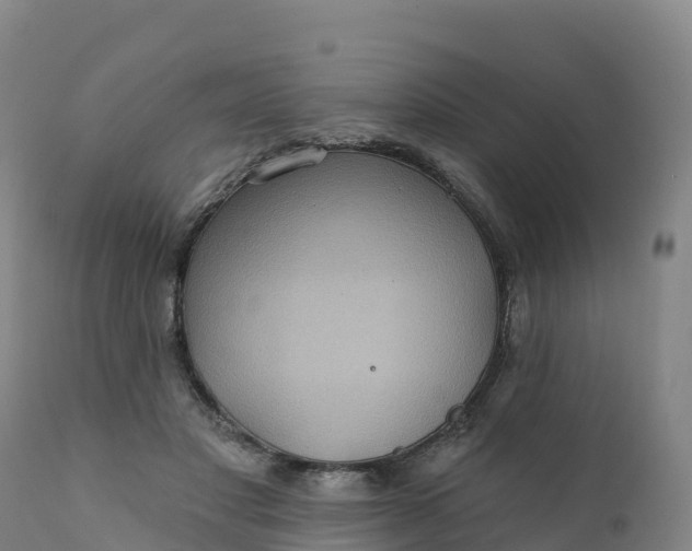 X0000112420501200908281842